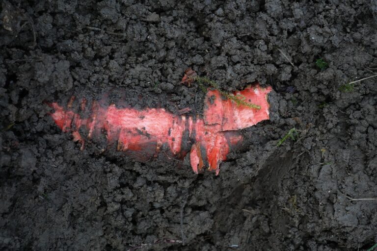 Immagine di un sacco di concime "sangue di bue" con avvertenze sull'uso corretto.